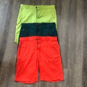 Robert Graham bermuda